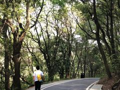 -东湖磨山景区