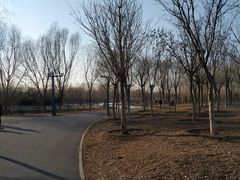 -东郊湿地公园