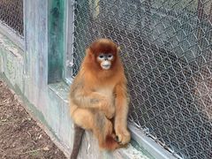 -西安秦岭野生动物园