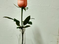 -尊宝比萨(江南豪园店)