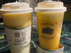 -雾与山茶(大禹城店)