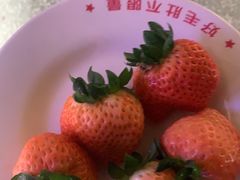 -芝小官毛肚火锅海鲜自助(苏州吴江区万宝店)