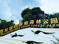 -西双版纳原始森林公园