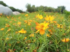 -雅和生态渔庄·宜城锅巴饭(龙灵山公园店)