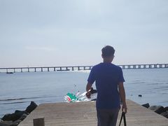 -宝安西湾红树林湿地公园