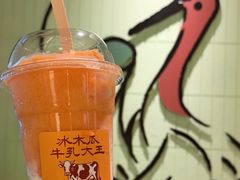 -鹤茶野所(上海首店)