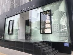 -BLACKSWAN黑天鹅(环球店)