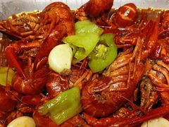 -杨氏青龙虾·羊蝎子(托乐嘉店)