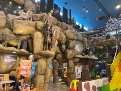 -卡通尼·Safari非洲探索乐园·生日会(金桥国际商业广场店)