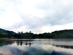 -海南热带雨林国家公园吊罗山景区