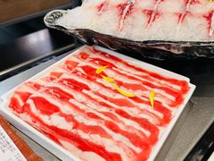 -渔惑·中山脆肉鲩火锅(仁恒梦店)