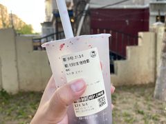 -五月古筝钢琴私塾