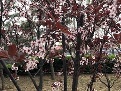 -仁和公园(顺义区)