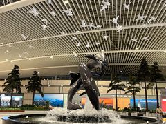 -青岛胶东国际机场