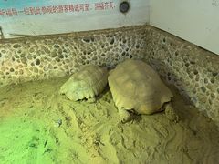 -上海大自然野生昆虫馆