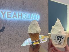 -野人先生现做冰淇淋(北京环宇荟店)
