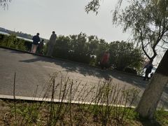 -丁香湖公园