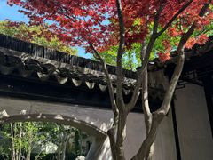 -松鹤楼(山塘街店)