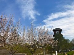 -永定河休闲森林公园