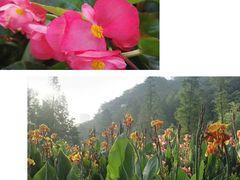 -重庆彩云湖湿地公园