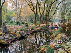 -上海共青森林公园