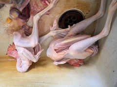 -马陆小张葡萄园农家乐