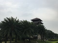 -大湾区中央湿地公园