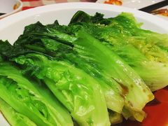 葱油生菜-西贝(上海我格广场店)