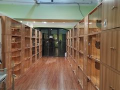 -猫十亿·布偶金渐层·曼基康矮脚猫舍(青年路店)