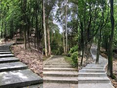 -火炉山森林公园