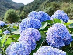 -昆嵛山石门里景区