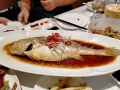 清蒸大黄鱼-福海居烤鸭店(鸟巢店)