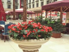 -中家鑫园温泉酒店鑫悦汤泉