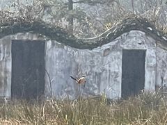 -白鹿洞书院