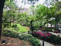 -香港大学
