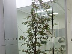 -极简口腔(总院)
