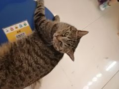 -平行世界·猫咖(首经贸店)
