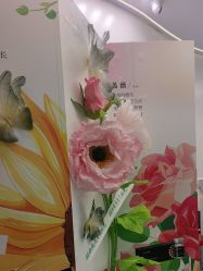-JUVA欧华医美连锁