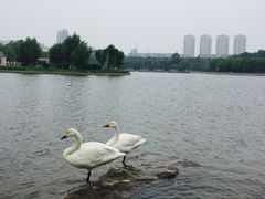 -长春世界雕塑园冰雪艺术天地