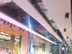-皇家5号海鲜烤肉火锅自助餐(聊城总店)