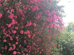 -EPC艺术文化中心