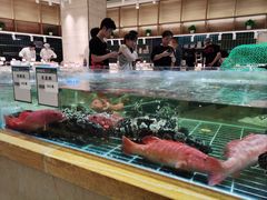 -阿毛饭店·宁波老字号(儿童公园旗舰店)