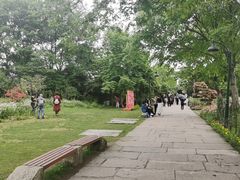 -西溪国家湿地公园