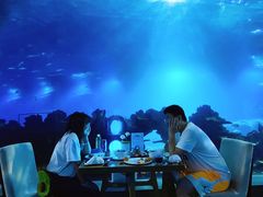 -海棠湾洲际-涛·海底餐厅·美人鱼·自助餐·海底隧道