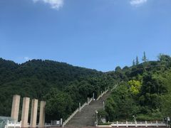 -铁山坪森林公园