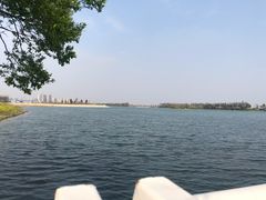 -贡湖湾湿地公园