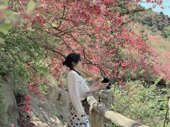 -木兰云雾山