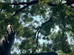 -北京国子监胡同
