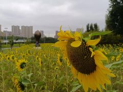 -长春世界雕塑园