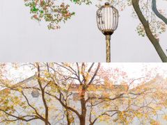 -老门东历史文化街区